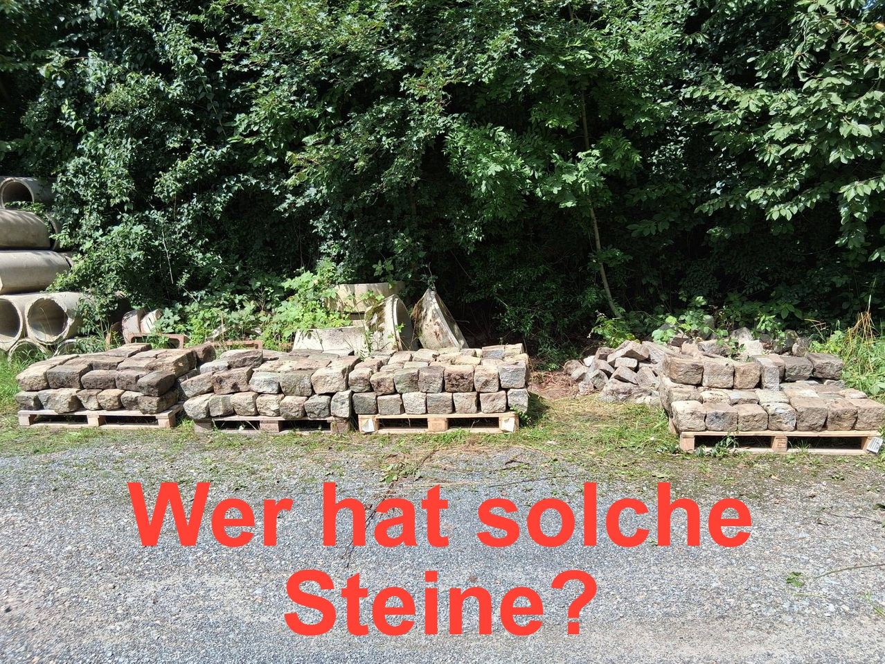 Ein Kiesweg führt zu einem Haufen Steine, zwischen denen Pflanzen wachsen. Bäume umgeben das Gebiet, und eine Frage auf Deutsch, 'Wer hat solche Steine?', wird angezeigt.