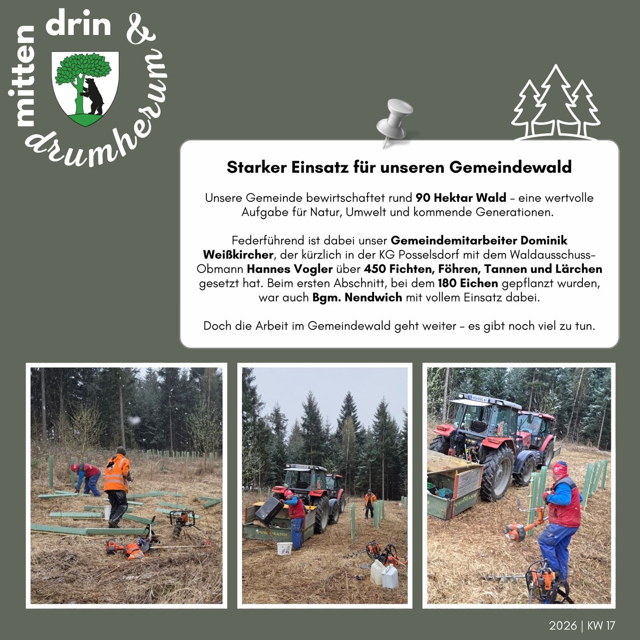 Plakat zur Gemeindewaldbewirtschaftung. Es zeigt 90 Hektar Wald, die von der Gemeinde verwaltet werden, unter der Leitung von Dominik Weißkircher. Die erste Phase beinhaltete das Pflanzen von 180 Eichen, beaufsichtigt von Hannes Vogler. Das Plakat zeigt drei Bilder von Waldarbeiten, eines davon zeigt Arbeiter beim Pflanzen von Bäumen.