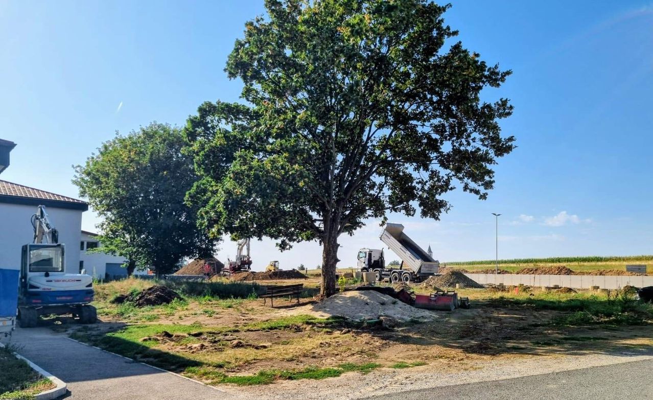 A construction site with a large tree, a dump truck, and a bench under a clear blue sky.