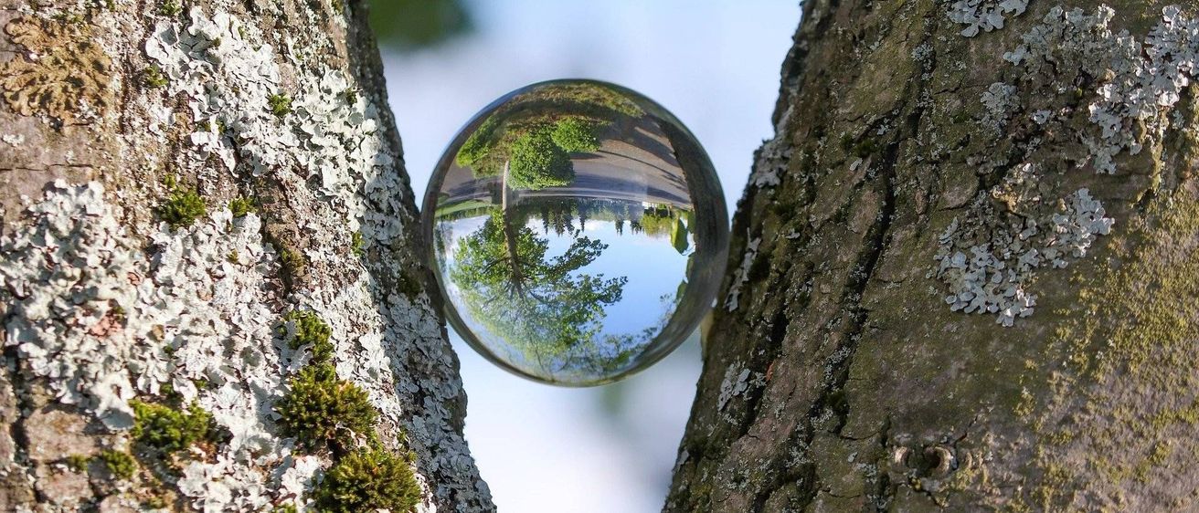 v1_migrated_image_42430149