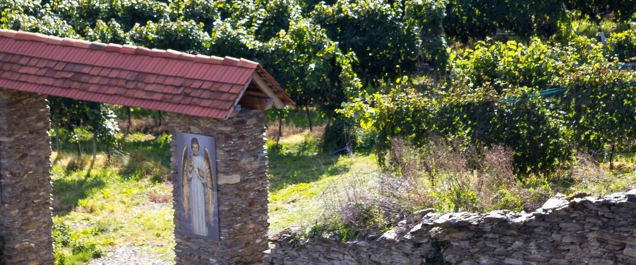 Bild enthält, Outdoors, Nature, Countryside, Rural, Shelter, Person, Hut, Farm, Vineyard, Housing
