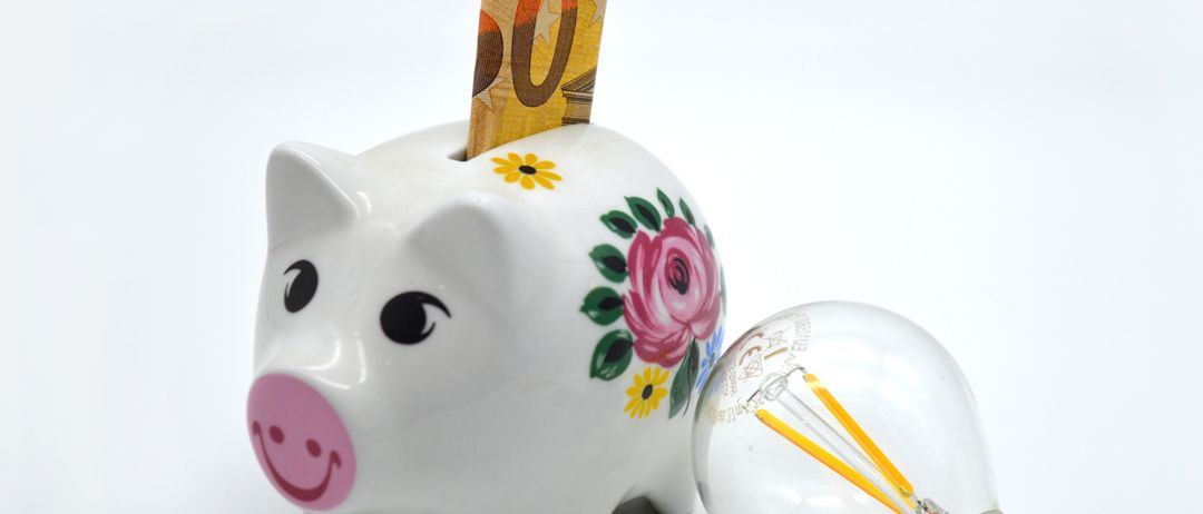 Eine Spardose mit Blumen und einem 50-Euro-Schein darauf, neben einer Glühbirne.
