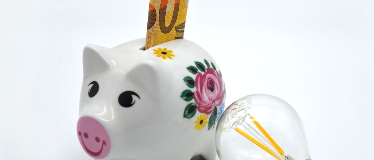Eine Spardose mit Blumen und einem 50-Euro-Schein darauf, neben einer Glühbirne.