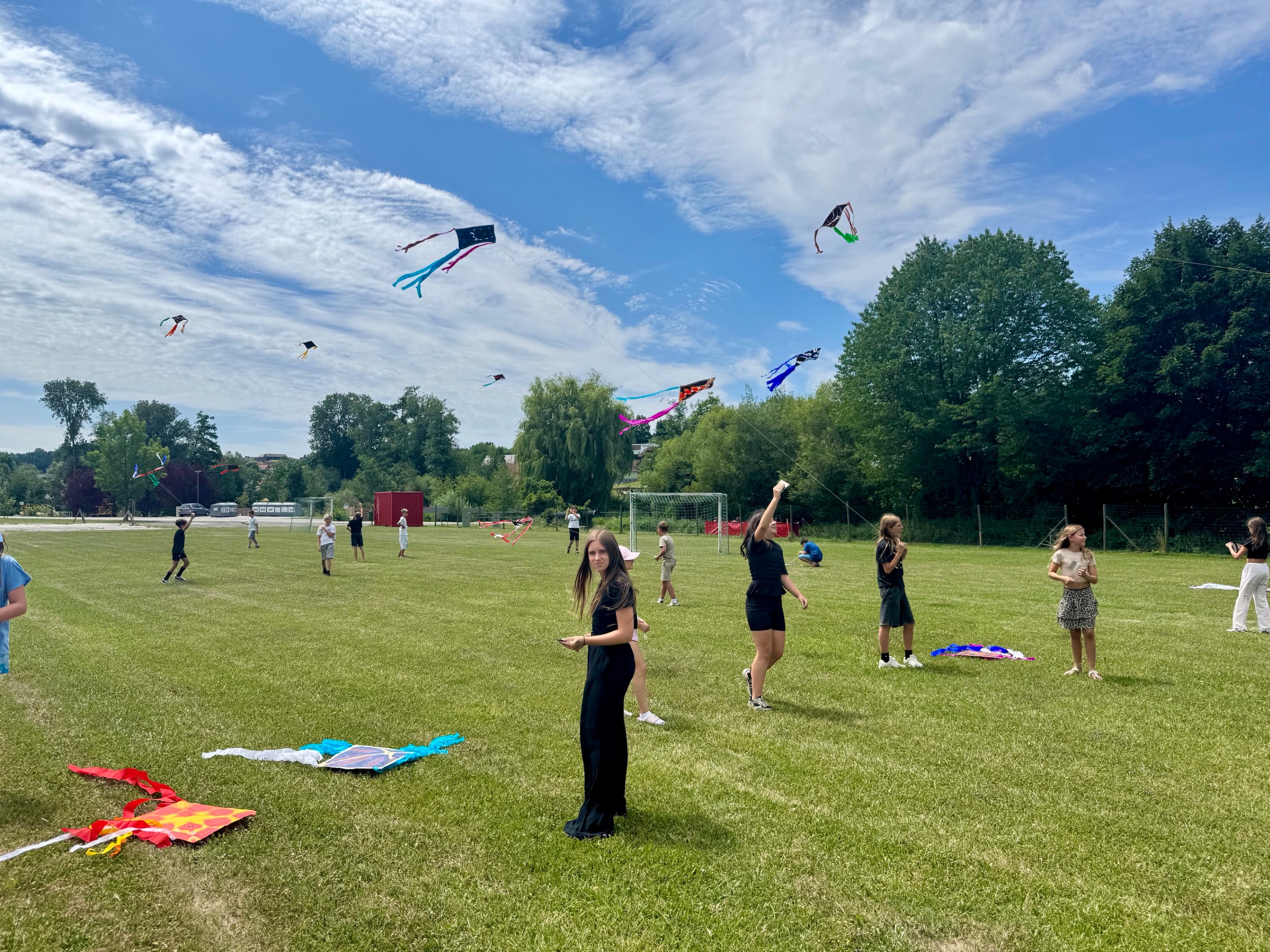 Kinder fliegen bunte Drachen auf einer grünen Wiese vor blauem Himmel mit Wolken.
