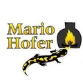 Bild von Feuer-Salamander Mario Hofer