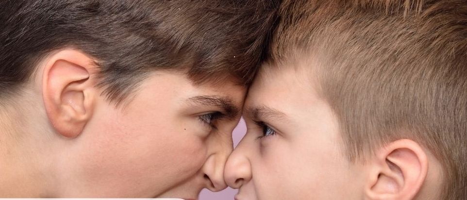 Ein Poster mit zwei Jungen, die streiten, einem Titel '4. LEBENSJAHR' und Details zu Terminen an verschiedenen Orten. Der erste Termin ist online am 5. April 2025. Der zweite Termin ist in Kaindorf am 19. Juli 2025. Der dritte Termin ist online am 22. November 2025. Der vierte Termin ist online am 10. Januar 2026. Der fünfte Termin ist in Furstenfeld am 18. April 2026.