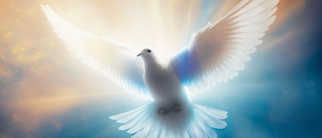 Eine weiße Taube mit ausgebreiteten Flügeln, die im Himmel aufsteigt, mit einem hellen Licht, das hinter ihr scheint. Die Taube scheint in einer göttlichen Aura zu fliegen, wobei die Sonnenstrahlen den Hintergrund erhellen.