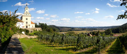 Ein Weinberg mit Reihen von Weinreben unter einem blauen Himmel mit verstreuten Wolken. In der Ferne eine Landschaft aus Hügeln und Feldern.