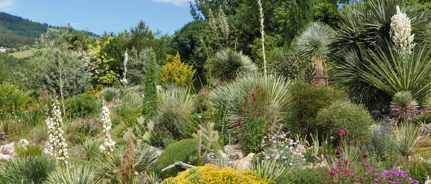 Bild enthält, Vegetation, Grass, Garden, Nature, Outdoors, Conifer, Tree, Woodland, Herbal, Yard