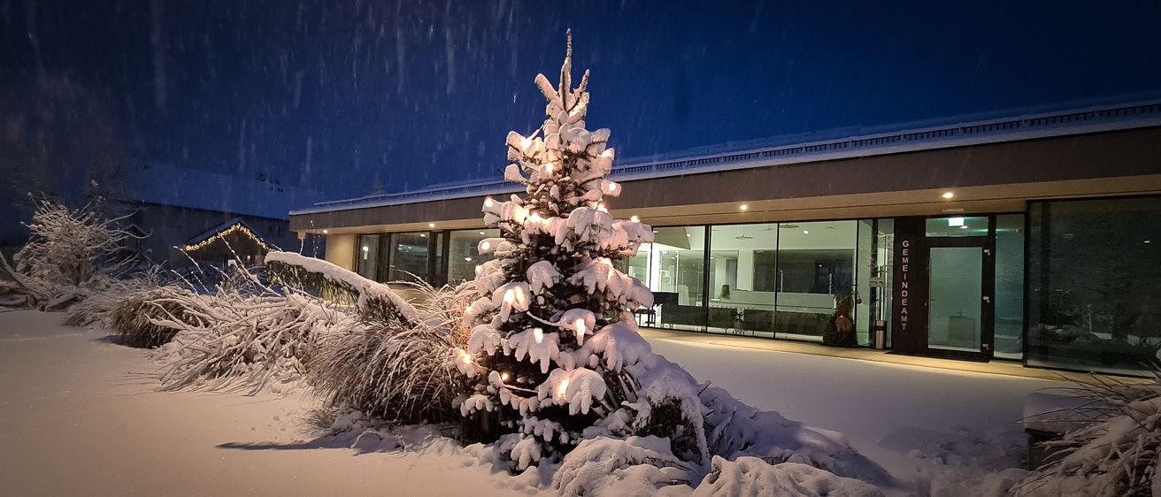 Eine verschneite Nachtszene mit einem geschmückten Weihnachtsbaum vor einem modernen Gebäude. Der Baum ist mit Lichtern beleuchtet, und Schnee bedeckt den Boden und die nahegelegenen Pflanzen.