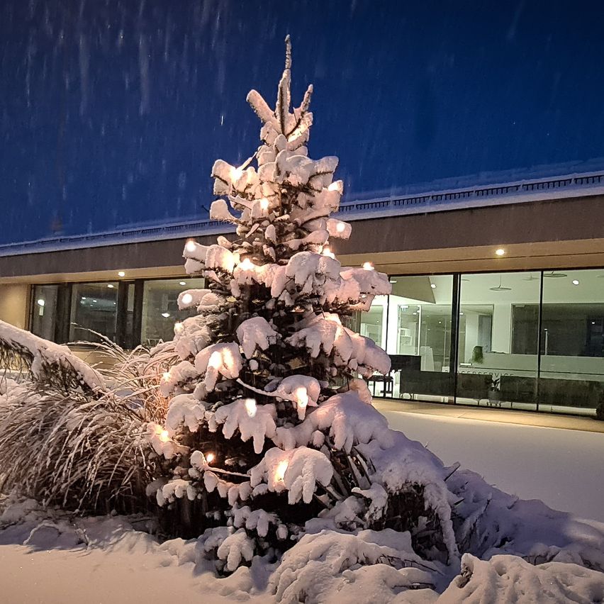 Eine verschneite Nachtszene mit einem geschmückten Weihnachtsbaum vor einem modernen Gebäude. Der Baum ist mit Lichtern beleuchtet, und Schnee bedeckt den Boden und die nahegelegenen Pflanzen.