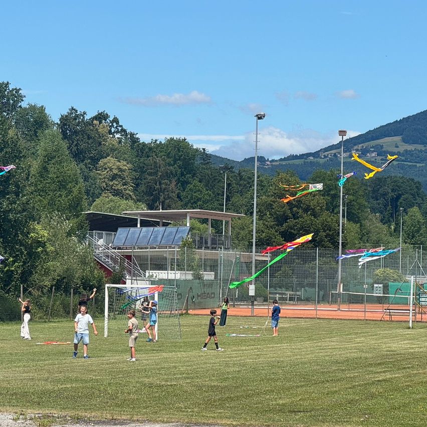 Children fly kites in an open field with trees and a building with solar panels in the background.