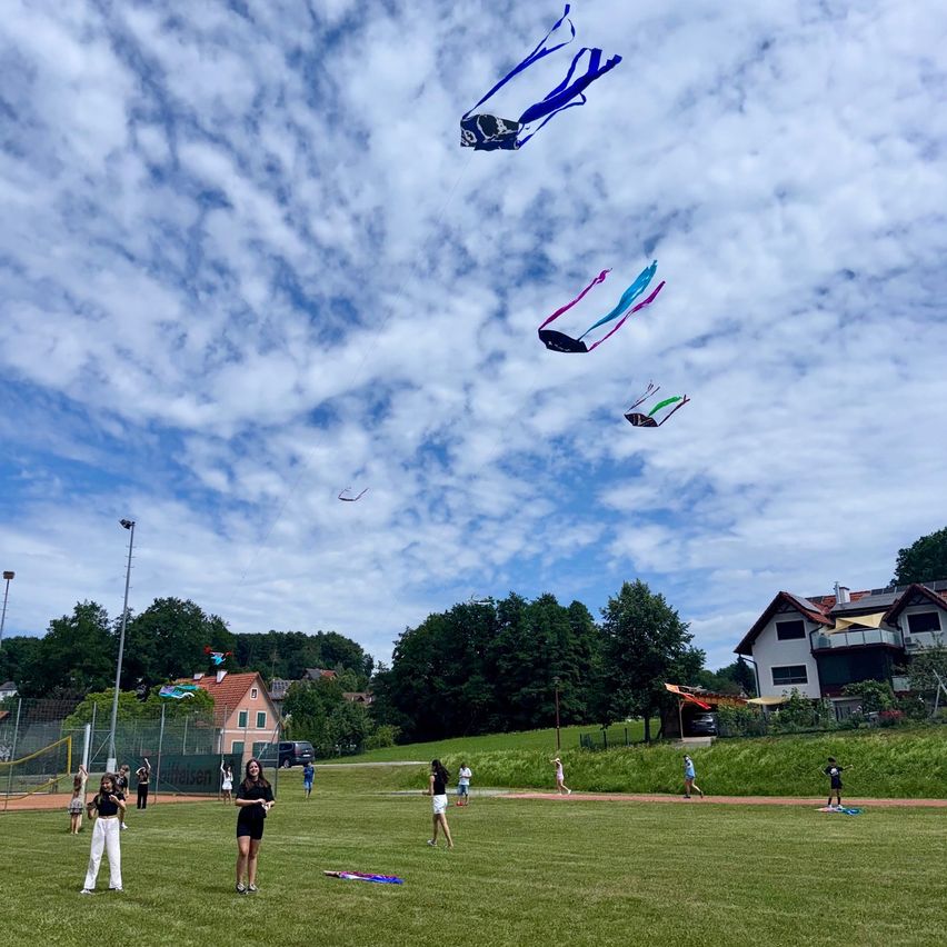 Several people are flying kites on a grassy field with houses and trees in the background. The sky is cloudy.