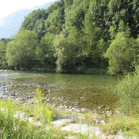 Bild enthält, Nature, Outdoors, Wilderness, Creek, Stream, Water, Pond, Scenery, Fir, Tree