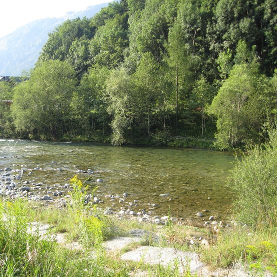 Bild enthält, Nature, Outdoors, Wilderness, Creek, Stream, Water, Pond, Scenery, Fir, Tree