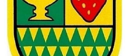 v1_migrated_image_4006554