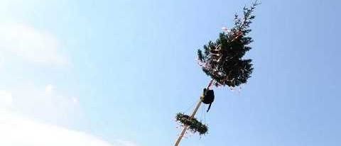 Bild enthält, Utility Pole, Tree, Person, Walking, City, Outdoors, Urban