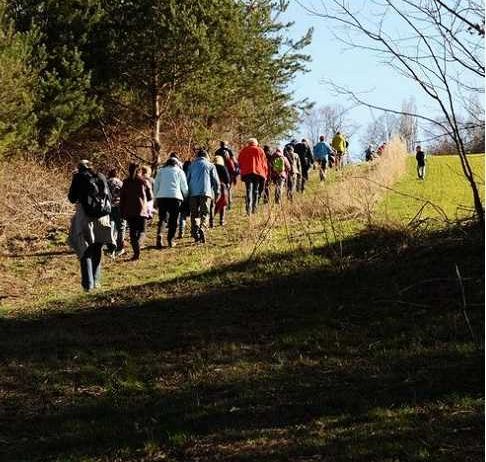 Bild enthält, Person, Walking, Hiking, Nature, Outdoors, Path, Adult, Female, Woman, Woodland