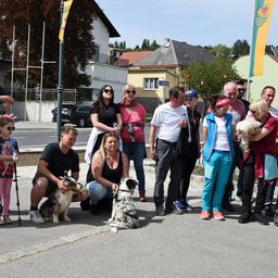 Eine Gruppe von Menschen und Hunden steht auf der Straße, mit Gebäuden und Bäumen im Hintergrund.