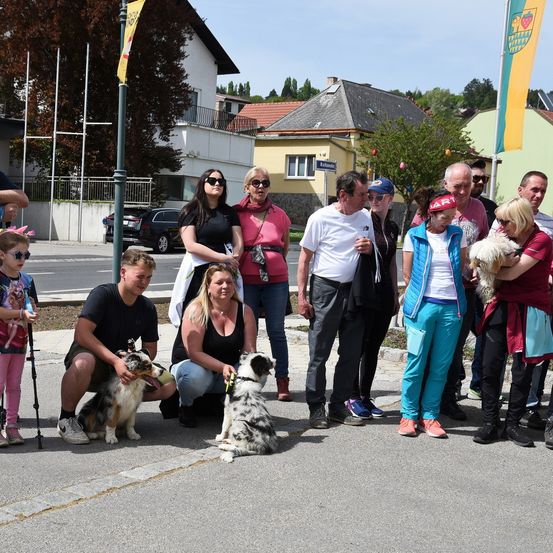 Eine Gruppe von Menschen und Hunden steht auf der Straße, mit Gebäuden und Bäumen im Hintergrund.