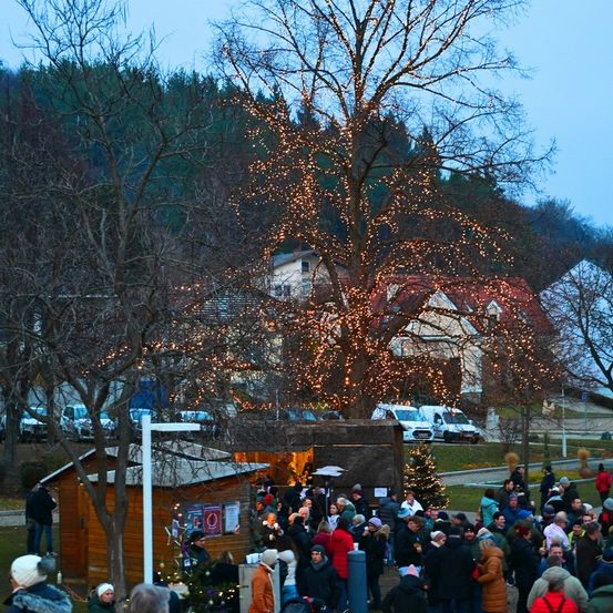 In der Nacht versammelt sich eine Menschenmenge um einen beleuchteten Baum in einem Park. Viele Leute sind warm gekleidet, einige tragen Mützen. Im Hintergrund stehen Häuser, und es gibt ein kleines Gebäude mit einem Schild. Autos sind vor den Häusern geparkt.