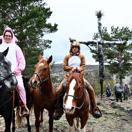 Zwei Personen in Tierkostümen reiten Pferde in einer ländlichen Umgebung mit einem großen Kreuz und Bäumen im Hintergrund. Eine Person trägt ein rosa Schweinekostüm, die andere ein braunes Bärenkostüm.