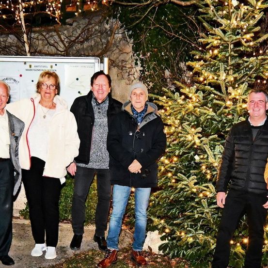 Eine Gruppe von Menschen, die warm gekleidet sind, steht bei Nacht vor einem geschmückten Weihnachtsbaum.