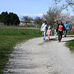 Fünf Personen gehen auf einem Kiesweg, umgeben von grasbewachsenen Bereichen und Bäumen. Eine Frau in einer weißen Jacke führt ein junges Mädchen in Pink. In der Nähe tragen zwei Männer Sonnenbrillen.