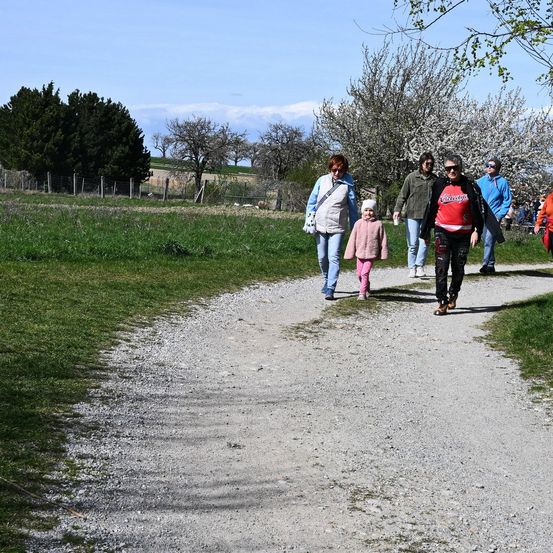 Fünf Personen gehen auf einem Kiesweg, umgeben von grasbewachsenen Bereichen und Bäumen. Eine Frau in einer weißen Jacke führt ein junges Mädchen in Pink. In der Nähe tragen zwei Männer Sonnenbrillen.