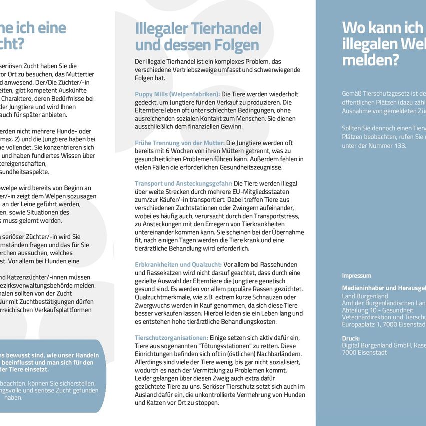 Das Bild zeigt ein textlastiges Infografik über illegalen Tierhandel und dessen Folgen. Es enthält Abschnitte über die Natur des illegalen Handels, Gesundheitsrisiken und die Rolle von Tierschutzorganisationen. Es bietet auch Kontaktinformationen für eine Tierklinik.