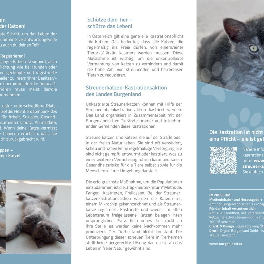 Das Bild zeigt eine Broschüre über das Kastrieren und Sterilisieren von Katzen, die Vorteile und Methoden hervorhebt. Es wird auf ein allgemeines Kastrationsgesetz in Österreich und die Methode 'Trap-Neuter-Return' eingegangen. Auch Bilder von Katzen sind enthalten.