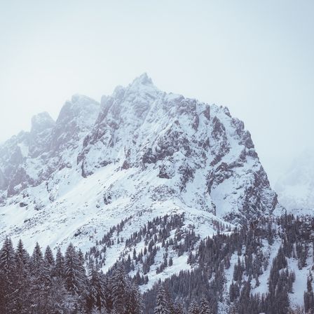 Eine verschneite Bergkette mit Bäumen und Felsen. Der Schnee ist dick und bedeckt den Boden und die Bäume. Nebel bedeckt den Himmel.
