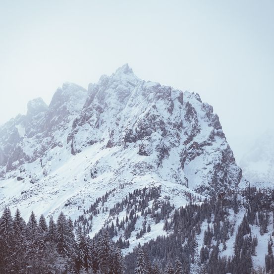 Eine verschneite Bergkette mit Bäumen und Felsen. Der Schnee ist dick und bedeckt den Boden und die Bäume. Nebel bedeckt den Himmel.
