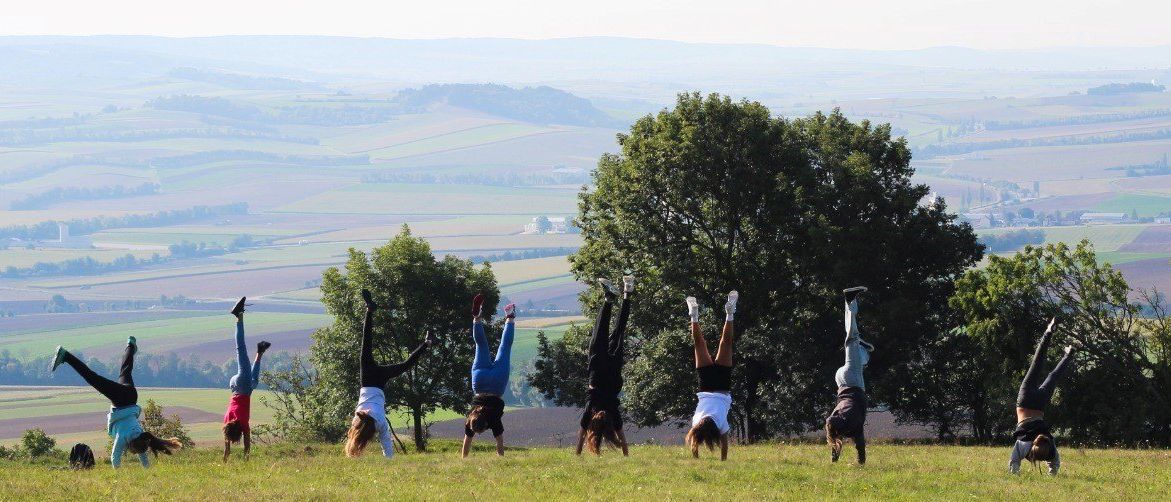 Eine Gruppe von Menschen macht Handstände auf einer Wiese mit einem Baum im Hintergrund.