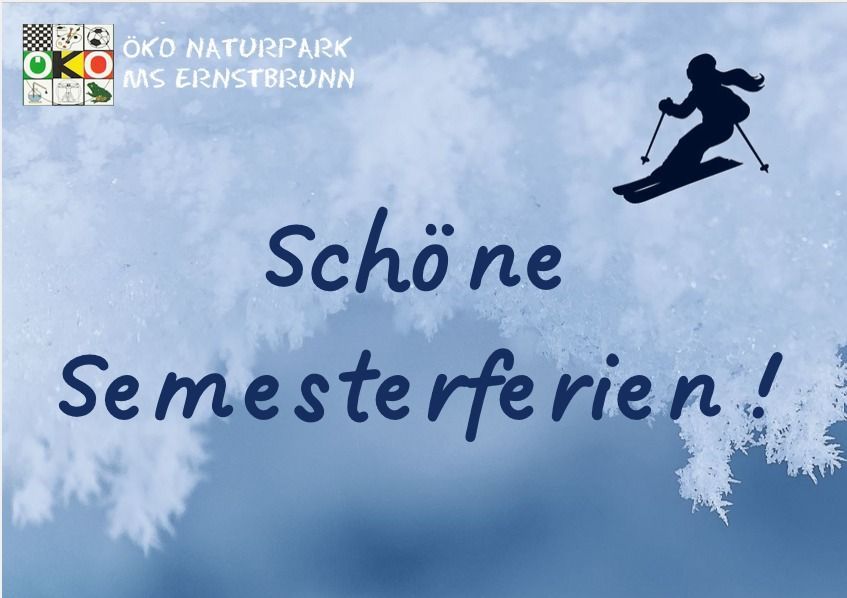 Ein Plakat bewirbt Winterferien mit einer Skifahrersilhouette vor schneebedecktem Hintergrund und blauem Himmel. Der Text lautet 'Schone Semesterferien!'. In der oberen linken Ecke befinden sich Logos verschiedener Aktivitäten.