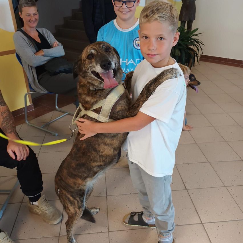 Ein junger Junge umarmt einen großen Hund in einem Raum mit anderen Leuten.