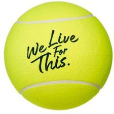 Tennisclub Marktgemeinde Lockenhaus-Logo