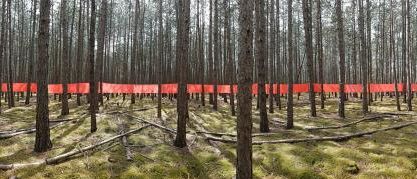 Ein Wald mit hohen Bäumen und einem roten Band, das quer durch die Szene verläuft.