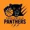 Das Logo zeigt einen schwarzen Panther, der einen Basketball mit seiner Pranke hält, vor einem leuchtend gelben Hintergrund. Die fiesen Augen und der offene Mund des Panthers verstärken seinen einschüchternden Auftritt. Der Text 'Fürstenfeld Panthers' ist in fetten schwarzen Buchstaben deutlich zu lesen.