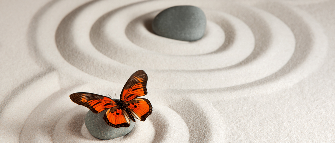 Ein Schmetterling mit orangefarbenen und schwarzen Flügeln sitzt auf einem grauen Stein, umgeben von konzentrischen Kreisen aus Sand in einem Zen-Garten.