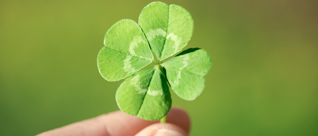 Eine Nahaufnahme eines vierblättrigen Kleeblatts, das von einer Hand mit grünem Hintergrund gehalten wird.