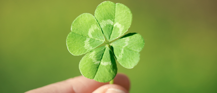 Eine Nahaufnahme eines vierblättrigen Kleeblatts, das von einer Hand mit grünem Hintergrund gehalten wird.