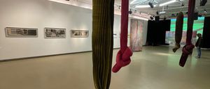 Ein moderner Kunstgalerieraum mit weißen Wänden, der große, farbenfrohe hängende Skulpturen, beleuchtet von Deckenleuchten, mit gerahmten Kunstwerken an der Wand und einer Person, die auf der rechten Seite steht, zeigt.