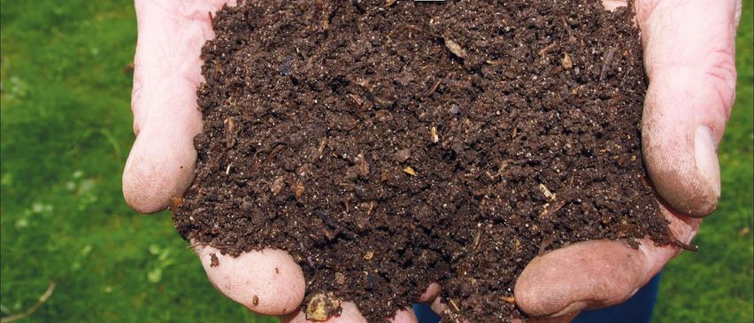 Bild enthält, Soil, Garden, Nature, Outdoors, Gardening, Baby, Person, Advertisement, Poster