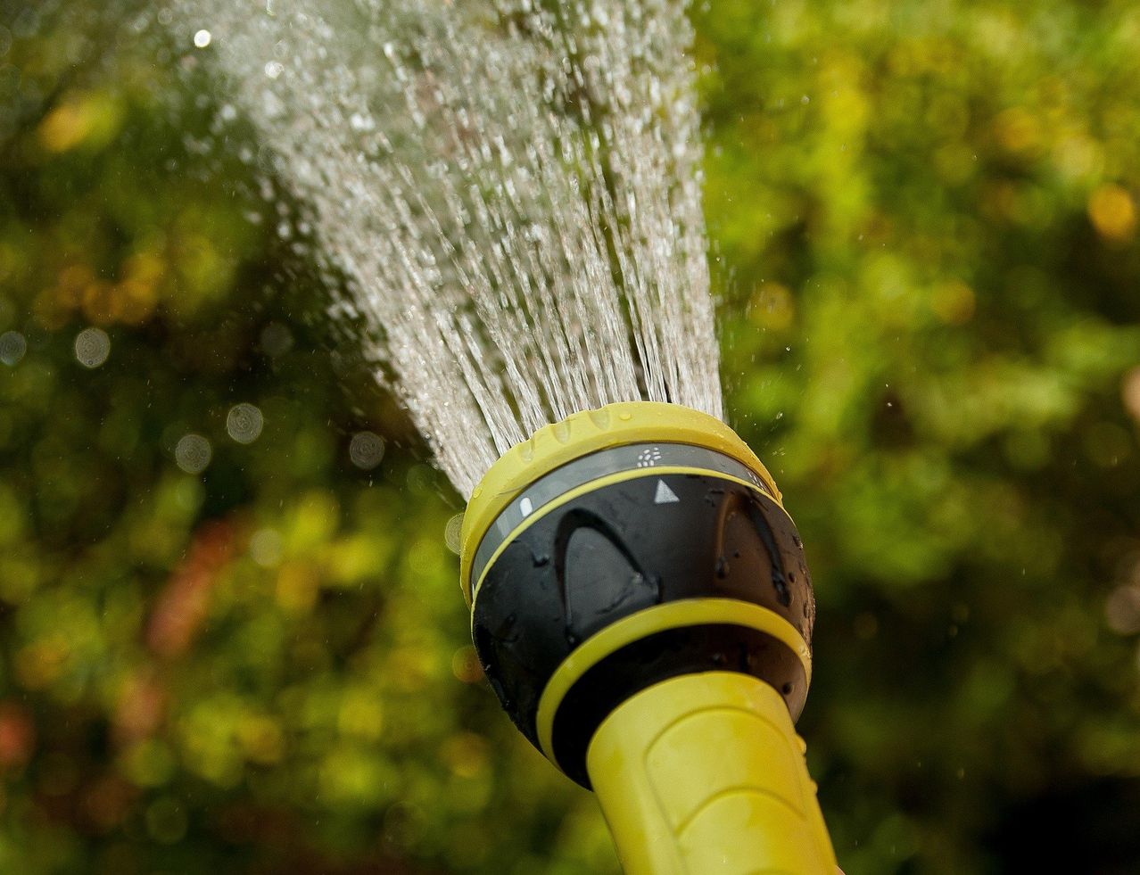 A yellow and black watering can sprays water in the air. The spray is misty, and there are blurry green leaves in the background.
