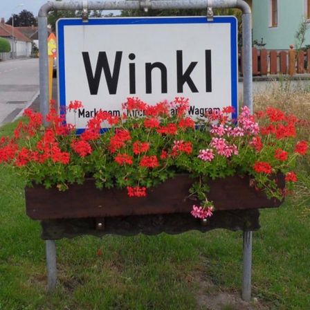 Bild enthält, Plant, Potted Plant, Jar, Planter, Pottery, Vase, Flower, Geranium