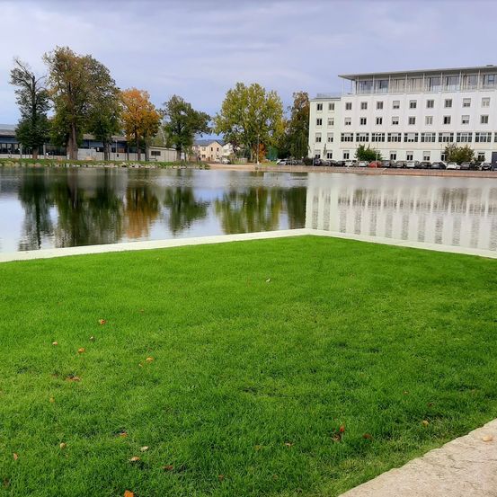 Ein ruhiger Blick auf einen großen, ruhigen See, umgeben von einem üppigen grünen Rasen und verschiedenen Bäumen. Ein modernes weißes Gebäude steht auf der gegenüberliegenden Uferseite mit mehreren geparkten Autos davor.