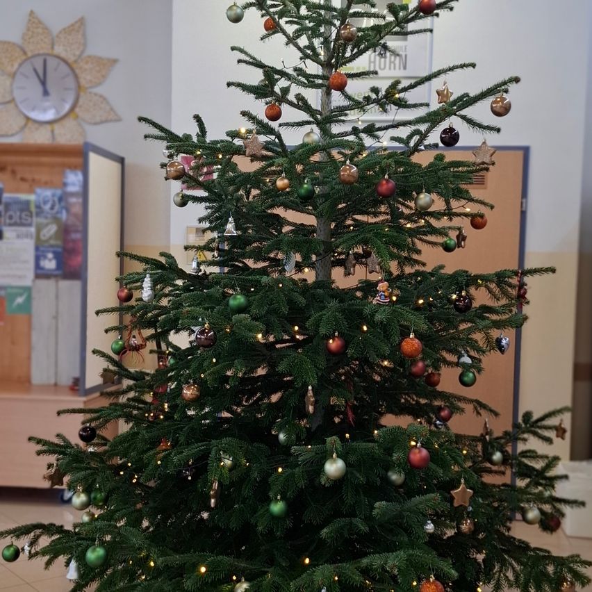 Ein geschmückter Weihnachtsbaum steht in einem Raum mit einer Uhr an der Wand, Postern und einem Holzschrank. Der Baum ist mit bunten Ornamenten und kleinen Lichtern geschmückt.