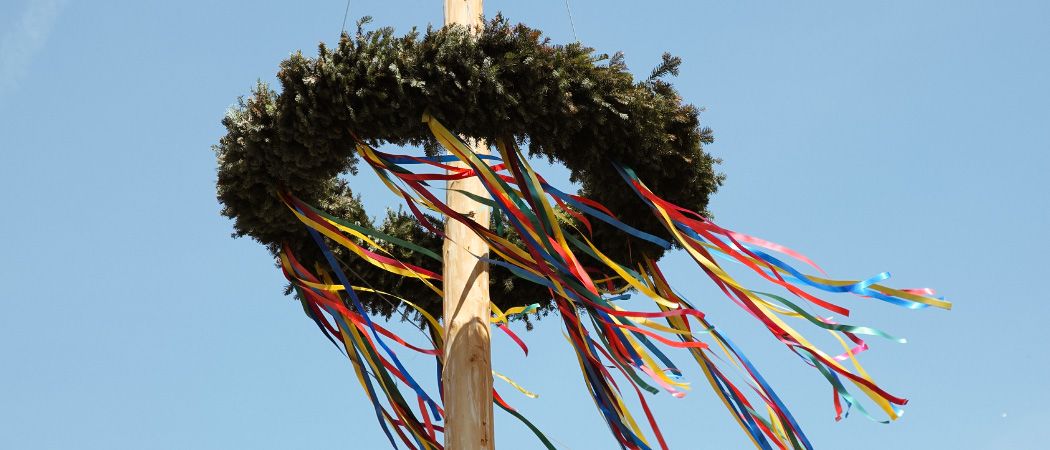 Ein traditioneller Maibaum mit immergrünen Zweigen und bunten Bändern, die daran hängen, unter einem klaren blauen Himmel.