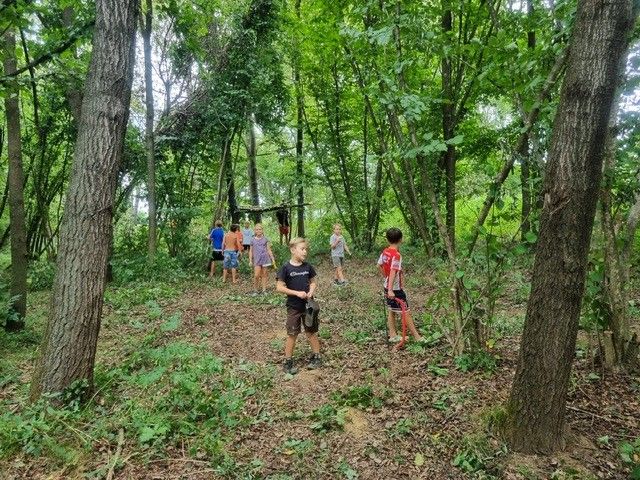 Bild enthält, Path, Outdoors, Trail, Vegetation, Land, Tree, Woodland, Grove, Person, Walking